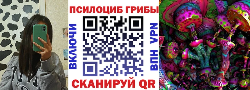 Псилоцибиновые грибы прущие грибы  где найти наркотики  МЕГА ТОР  Бикин 